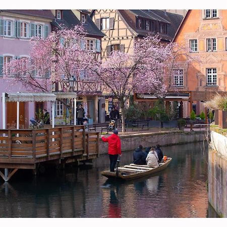 Maison Avec Terrasse Colmar Centre-Cottage Garden Terrace Center Old Town Colmar Buitenkant foto