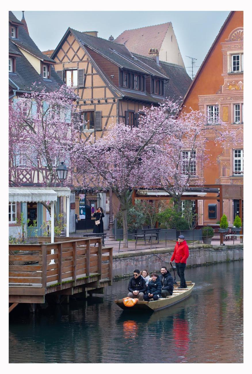 Maison Avec Terrasse Colmar Centre-Cottage Garden Terrace Center Old Town Colmar Buitenkant foto