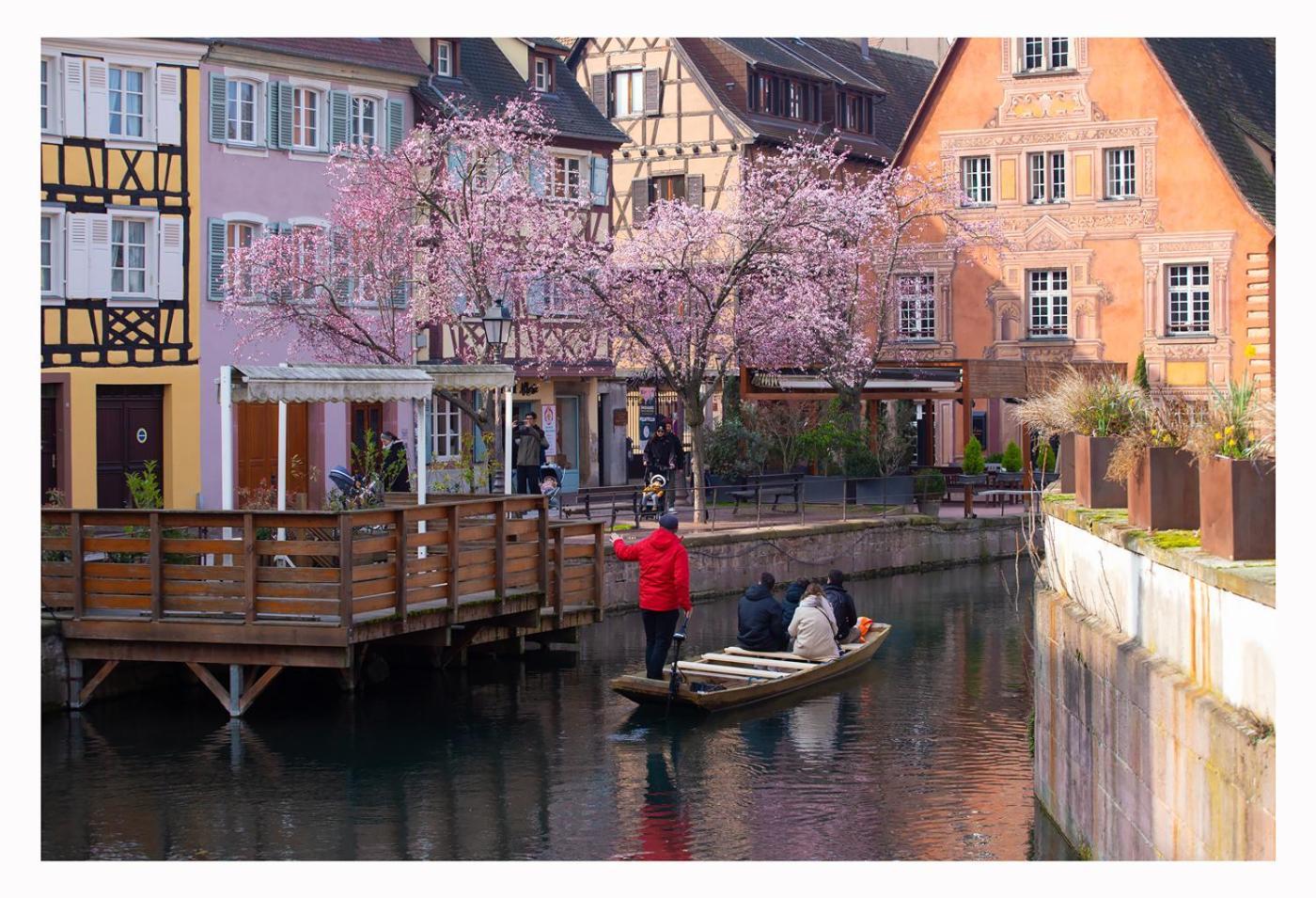 Maison Avec Terrasse Colmar Centre-Cottage Garden Terrace Center Old Town Colmar Buitenkant foto