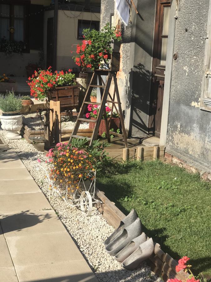 Maison Avec Terrasse Colmar Centre-Cottage Garden Terrace Center Old Town Colmar Buitenkant foto